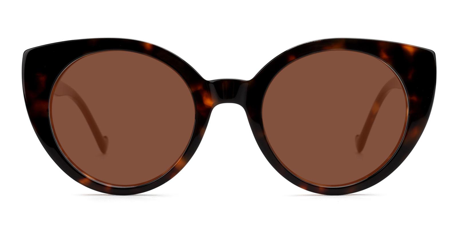 Sarah-Tortoise-Cat-Acetate-Sunglasses-detail