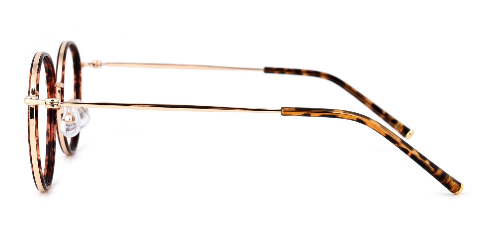 Galil-Tortoise-Round-TR-Eyeglasses-detail