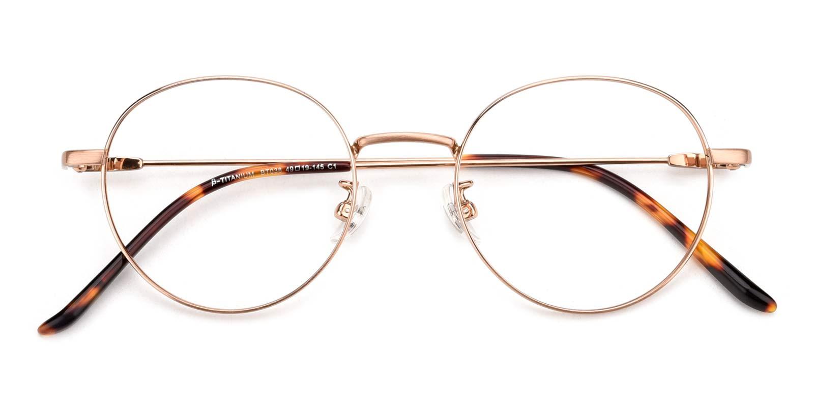 Georgina-Gold-Round-Titanium-Eyeglasses-detail