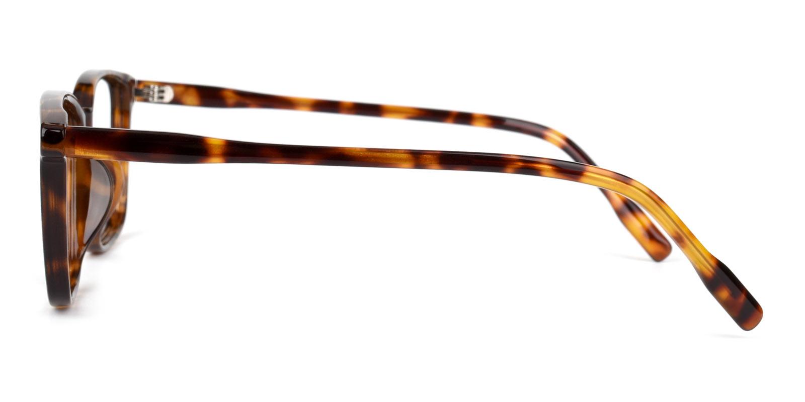 Shelton-Tortoise-Rectangle-TR-Eyeglasses-detail
