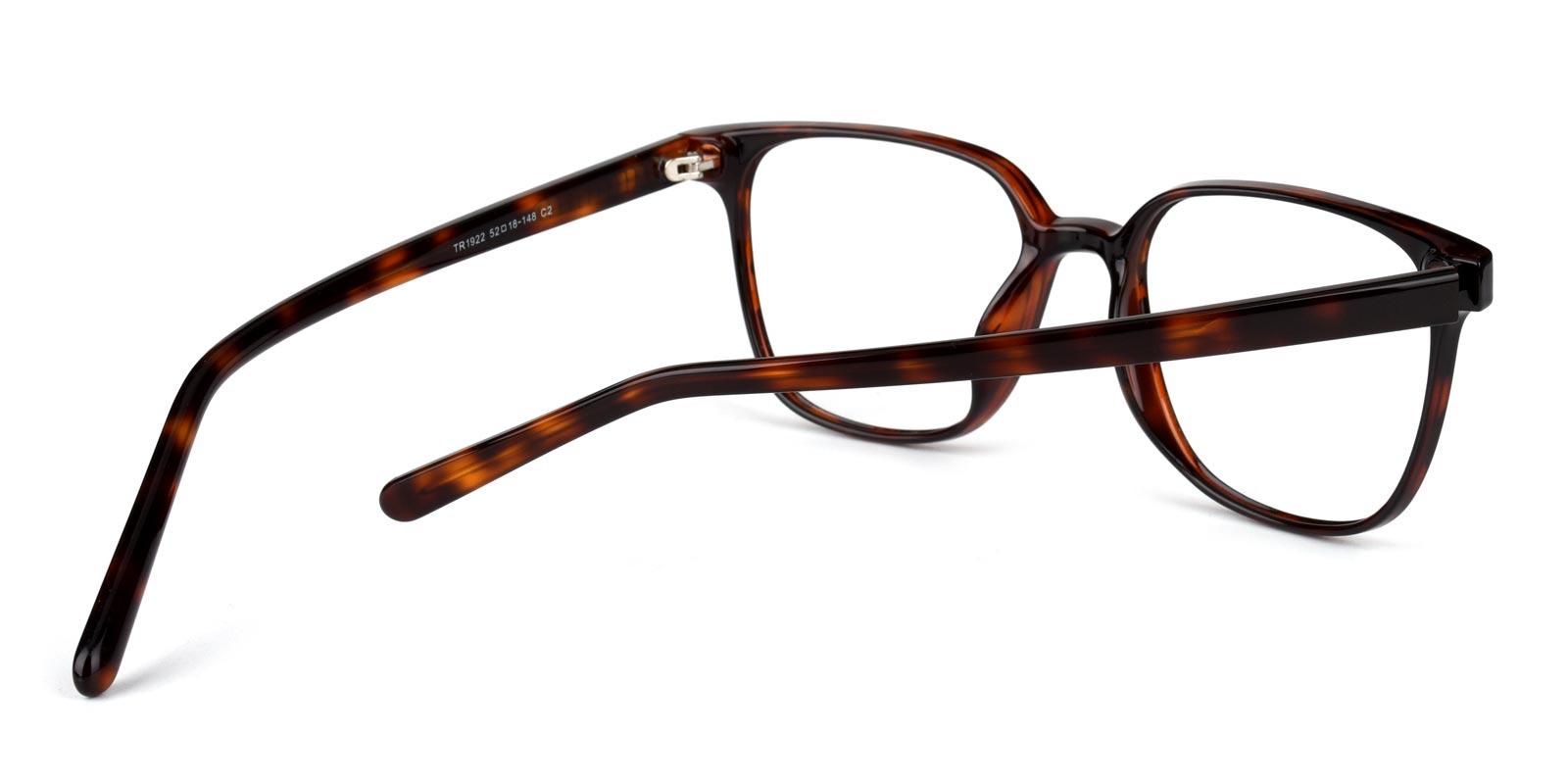 Fitz-Tortoise-Square-TR-Eyeglasses-detail