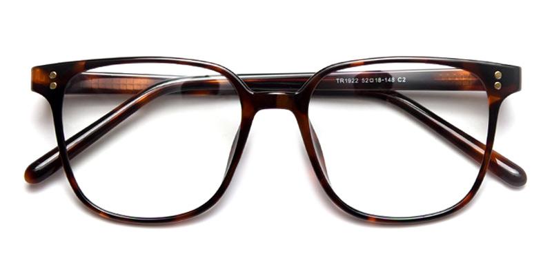 Fitz-Tortoise-Eyeglasses