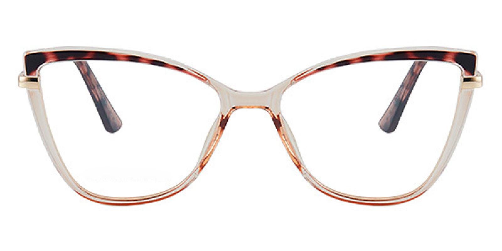 Maile-Tortoise-Cat-TR-Eyeglasses-detail