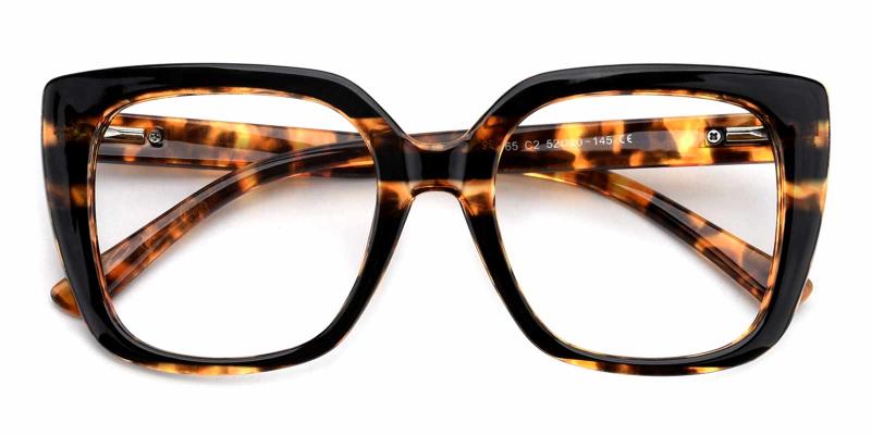 Lane-Tortoise-Eyeglasses