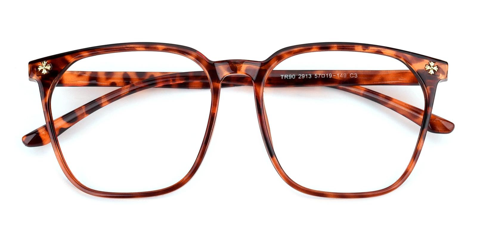 Helen-Tortoise-Square-TR-Eyeglasses-detail