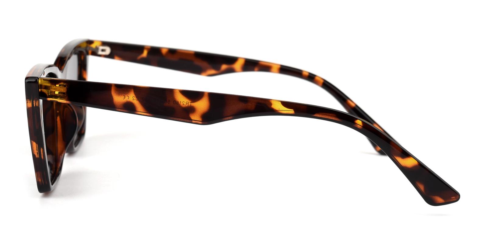 Arlo-Tortoise-Cat-TR-Sunglasses-detail