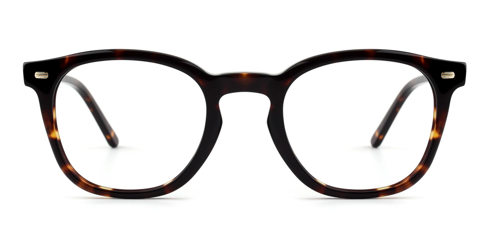 Ridley-Tortoise-Rectangle-Acetate-Eyeglasses-detail