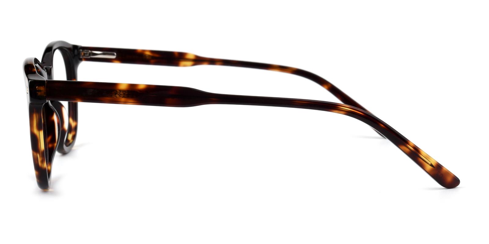 Ridley-Tortoise-Rectangle-Acetate-Eyeglasses-detail