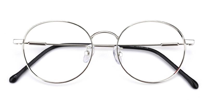 Hibbardr-Silver-Eyeglasses